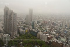 08-Tokyo from the top of the Tokyo Metropolitan Government Building
